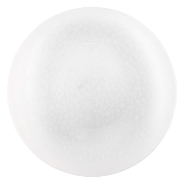 Disposable Plastic Birthday Dinner Plate For 28 Guests 